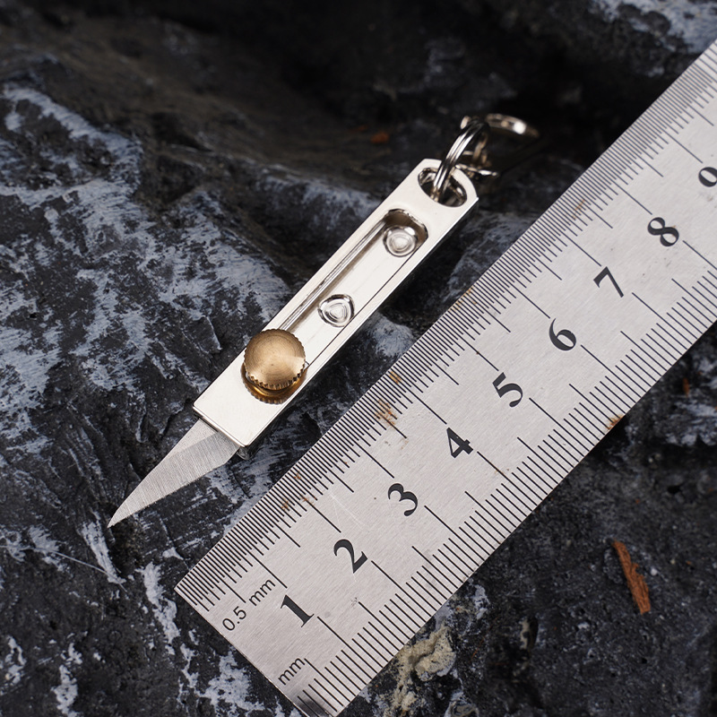 Mini-mes van roestvrij staal E - Edc Carry Pocket Knife recensie en prijs